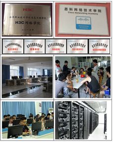 計算機網絡技術 連接世界的數字橋梁